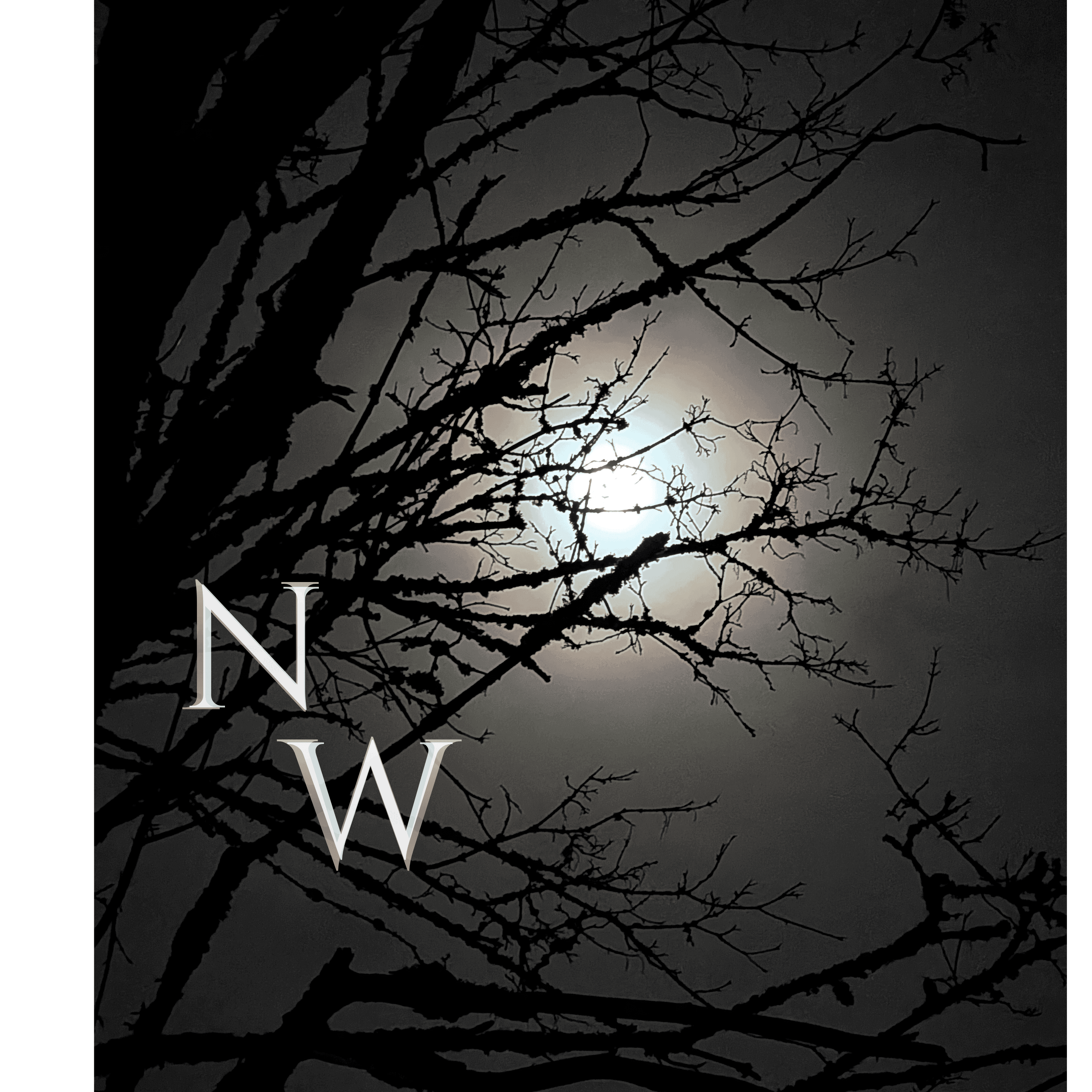 Night Wanderings logo